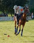 Pferd International 2022-05-26 Polo