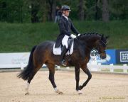 Pferd International - 2024 - Dressur - DERBY Stars von Morgen