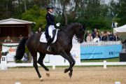 Pferd International - 2024 - Dressur - DERBY Stars von Morgen