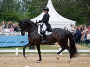 Pferd International - 2024 - Dressur - DERBY Stars von Morgen