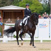 Pferd International - 2024 - Dressur - DERBY Stars von Morgen