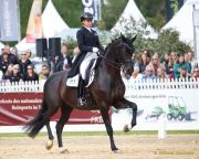 Pferd International - 2024 - Dressur - DERBY Stars von Morgen