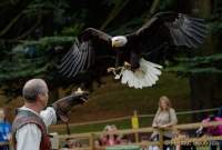 d170716-132920-800-100-warwick_castle