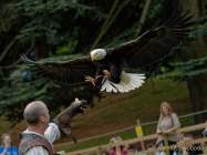 d170716-132920-900-100-warwick_castle