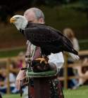 d170716-132933-300-100-warwick_castle