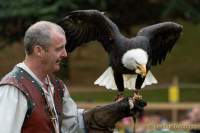 d170716-133019-500-100-warwick_castle