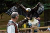 d170716-133338-100-100-warwick_castle