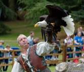 d170716-133414-200-100-warwick_castle