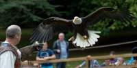 d170716-133434-600-100-warwick_castle