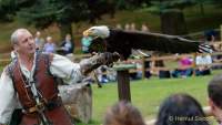 d170716-133508-900-100-warwick_castle