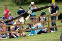 d170716-133545-300-100-warwick_castle