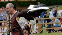 d170716-135435-400-100-warwick_castle