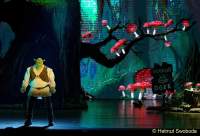 d150205-19475710-100-shrek-das_musical