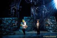 d150205-20314420-100-shrek-das_musical