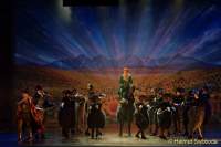 d150205-21201910-100-shrek-das_musical