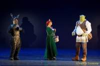 d150205-21215000-100-shrek-das_musical