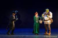 d150205-21215320-100-shrek-das_musical