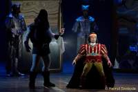 d150205-21295100-100-shrek-das_musical