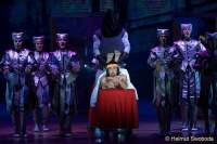 d150205-21343460-100-shrek-das_musical