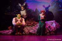 d150205-21403340-100-shrek-das_musical