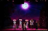 d150205-21415820-100-shrek-das_musical