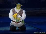 d150205-21500140-100-shrek-das_musical