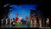 d150205-21525310-100-shrek-das_musical