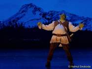 d150205-21575860-100-shrek-das_musical