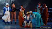 d150205-22013120-100-shrek-das_musical