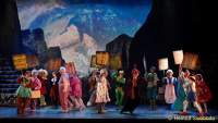 d150205-22045350-100-shrek-das_musical