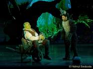 d150205-22062690-100-shrek-das_musical