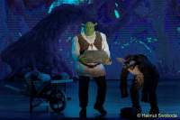 d150205-22082600-100-shrek-das_musical