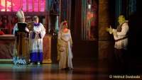 d150205-22112090-100-shrek-das_musical