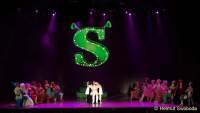 d150205-22230640-100-shrek-das_musical