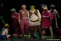 d150205-22234150-100-shrek-das_musical