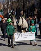 d170312-121031-500-100-st_patricks_day