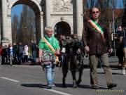 d170312-123007-200-100-st_patricks_day