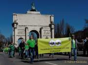 d170312-123555-000-100-st_patricks_day