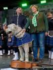 d180311-164355-200-100-st_patricks_day