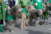 st-patricks-day-parade-240317-123102-0430