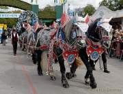 d180922-113637-300-100-wiesn_einzug_wiesnwirte