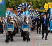 d180922-114716-800-100-wiesn_einzug_wiesnwirte