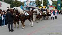 d180922-111950-800-100-wiesn_einzug_wiesnwirte