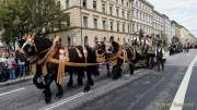 d180923-111819-390-100-wiesn_trachtenumzug