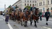 d180923-115056-800-100-wiesn_trachtenumzug