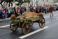 d180923-110623-600-100-wiesn_trachtenumzug