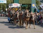 d190921-113256-500-100-wiesn_einzug_wiesnwirte