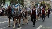 d190922-105908-200-100-wiesn_trachtenumzug