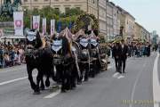 d190922-110757-300-100-wiesn_trachtenumzug