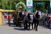 Wiesn 2023 Einzug der Wiesnwirte